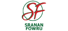 Logo 3 logo